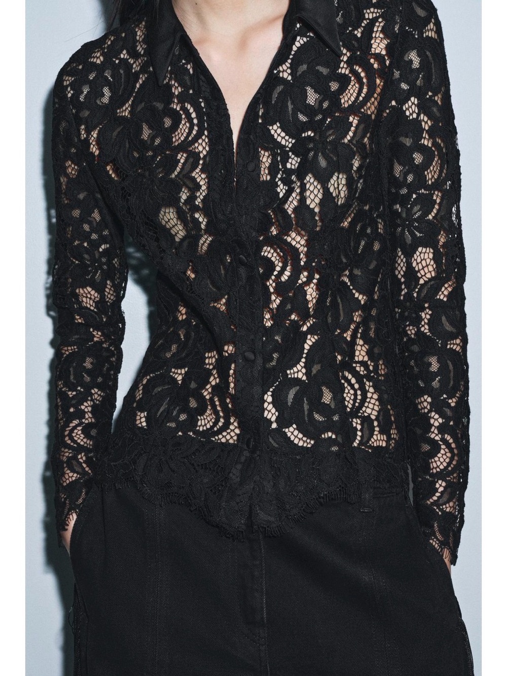 ZW Collection Zara Black Lace Button-Down Shirt